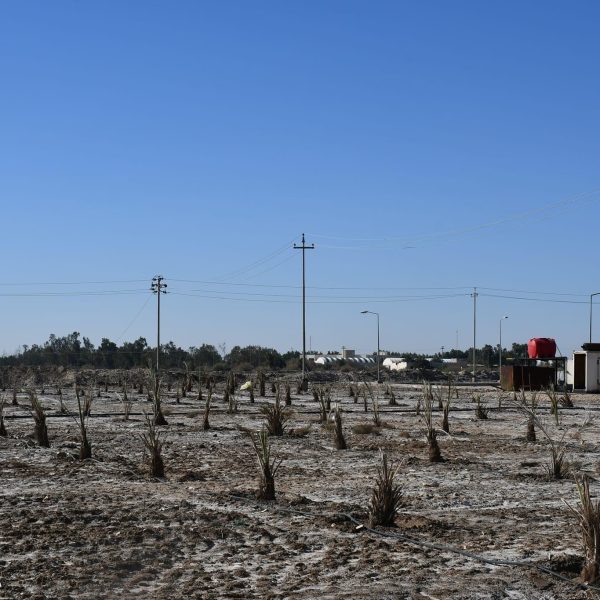 FECEEC7A 06A1 407F 8BC2 C6A72338D28C